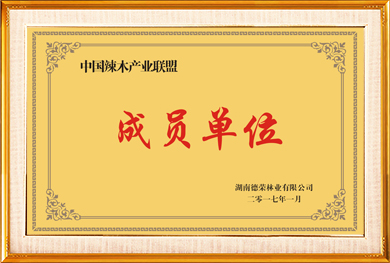 中国辣木产业联盟成员单位