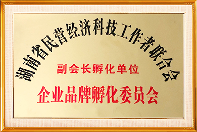 湖南省民营经济科技工作者联合会副会长孵化单位